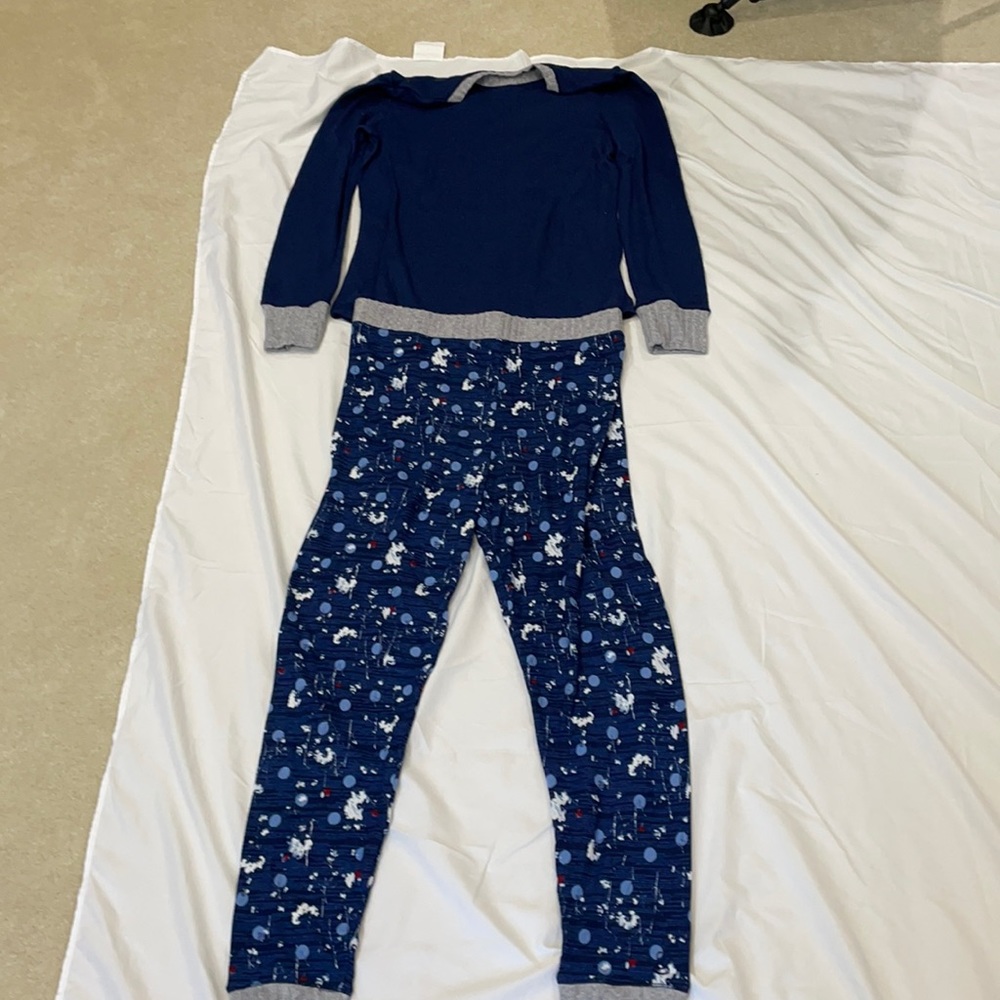 cuddlduds top and pant pajama set.